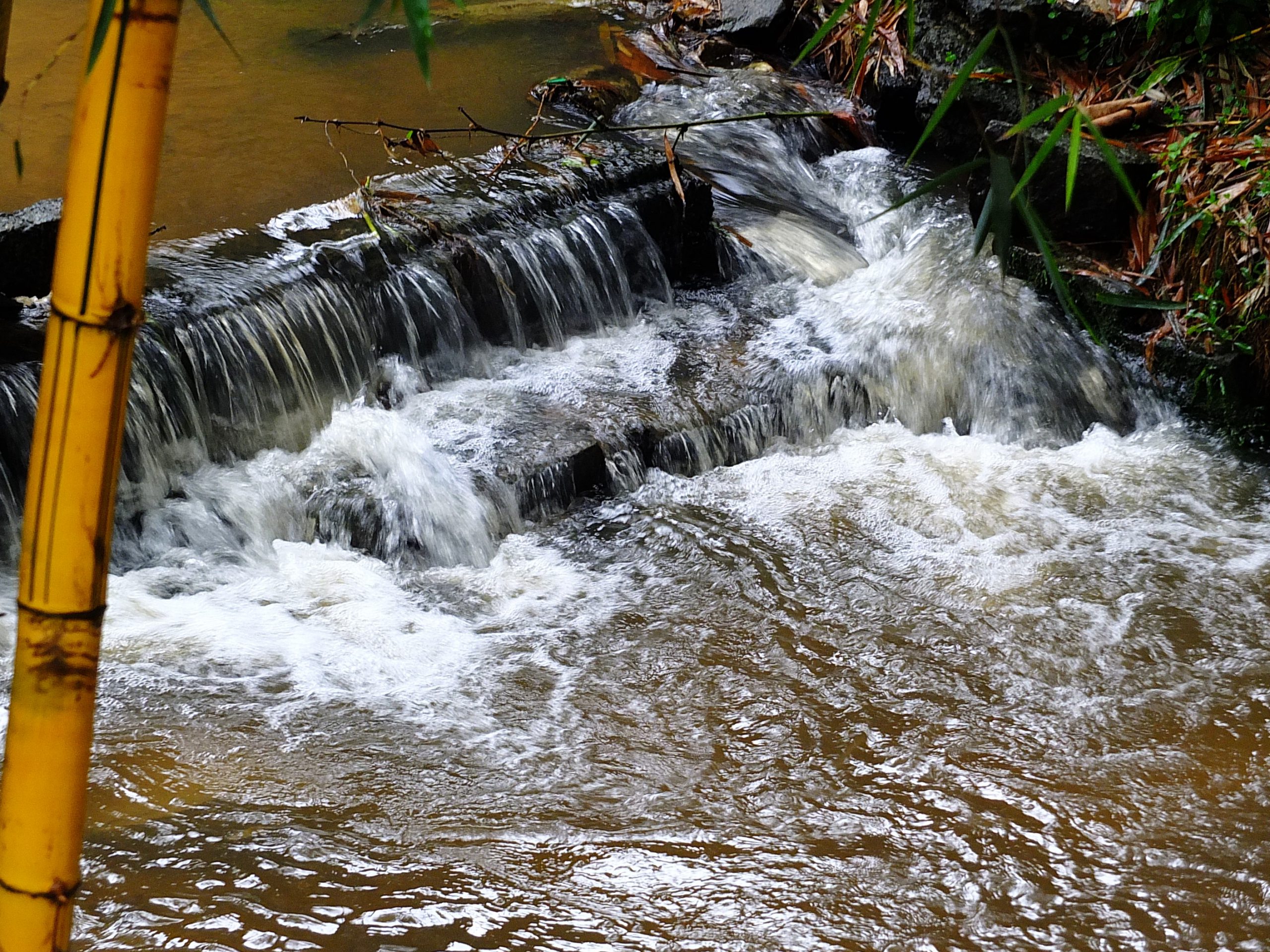 Natural Stream